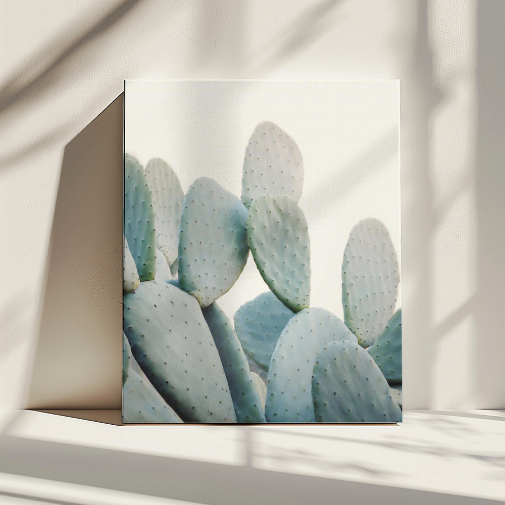 Pastell Kakteen | Leinwand
