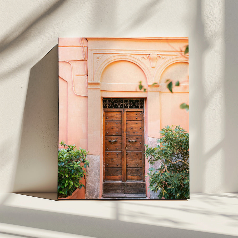 The Trastevere door || | Canvas