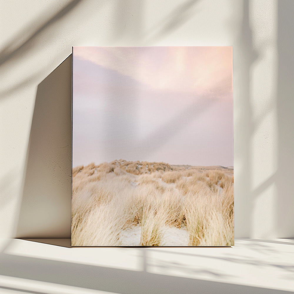 Ameland Dünen 2 | Leinwand