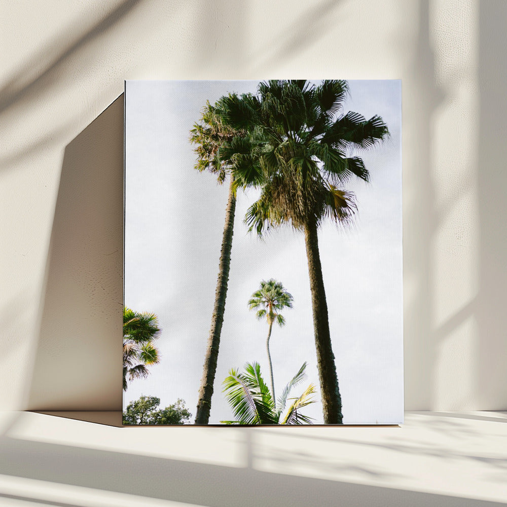 Finde mich unter der Palme | Leinwand