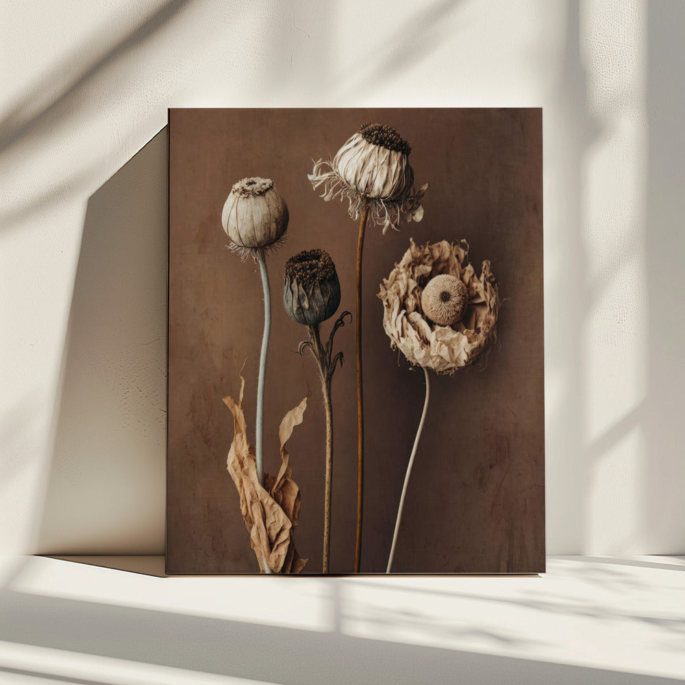 Faded Elegance | Canvas