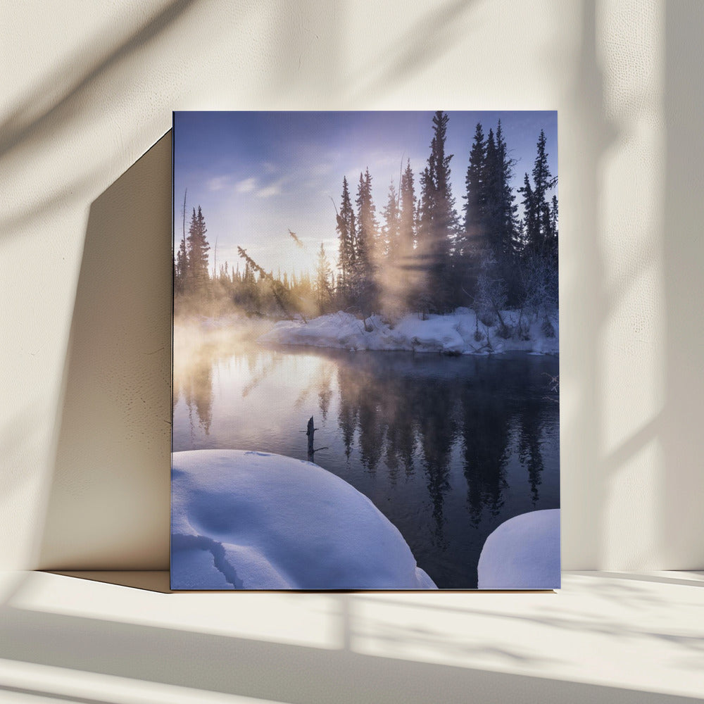 Alaskanischer Winter | Leinwand