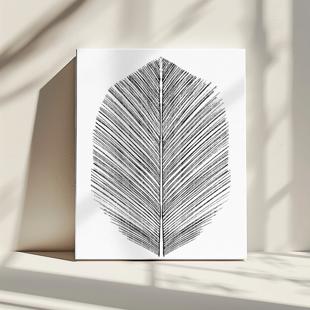 Feather | Canvas