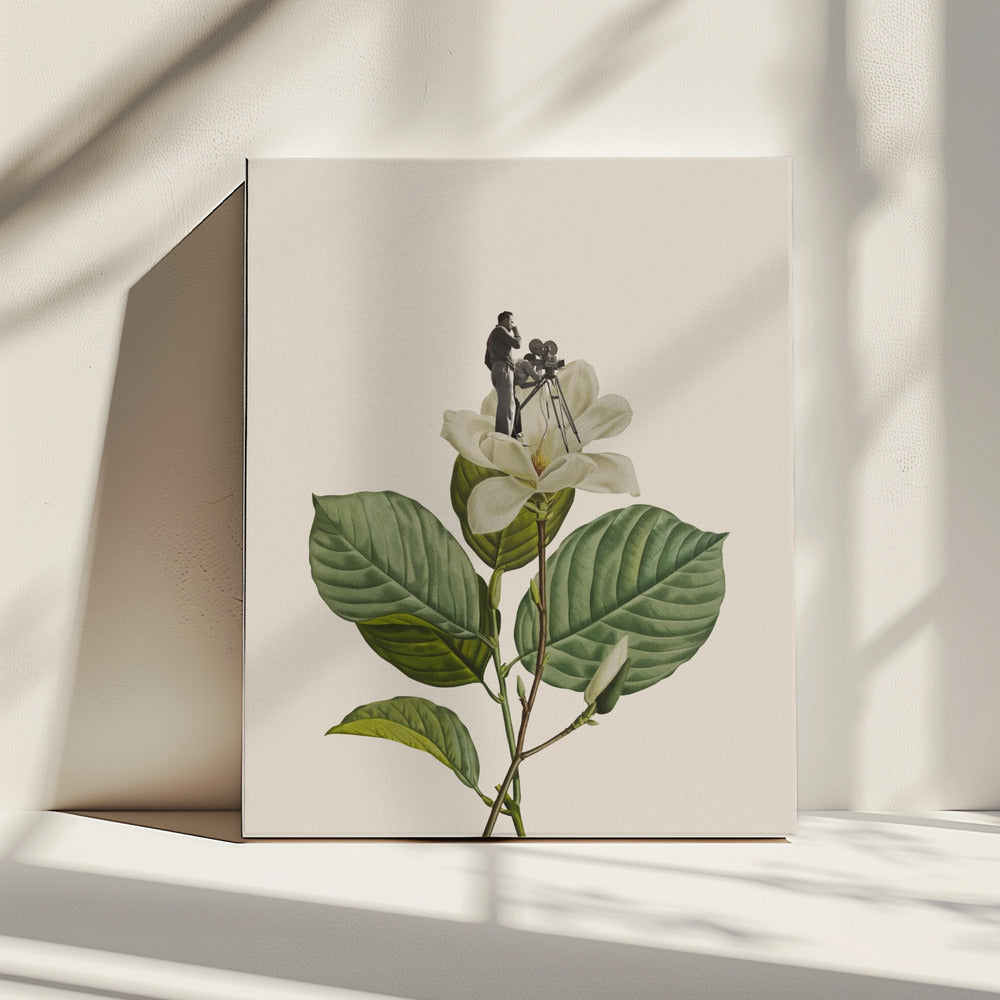 Botanischer Vintage-Kameramann | Leinwand