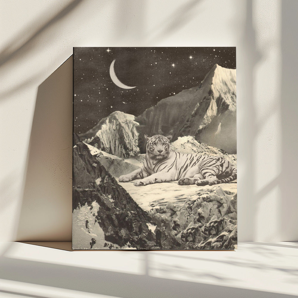 Giant White Tiger | Canvas