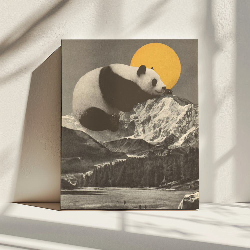 Giant Panda Nap | Canvas