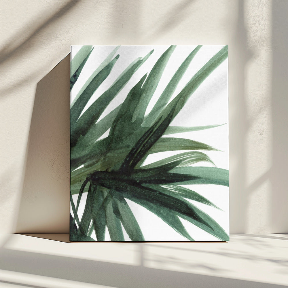Lush | Canvas