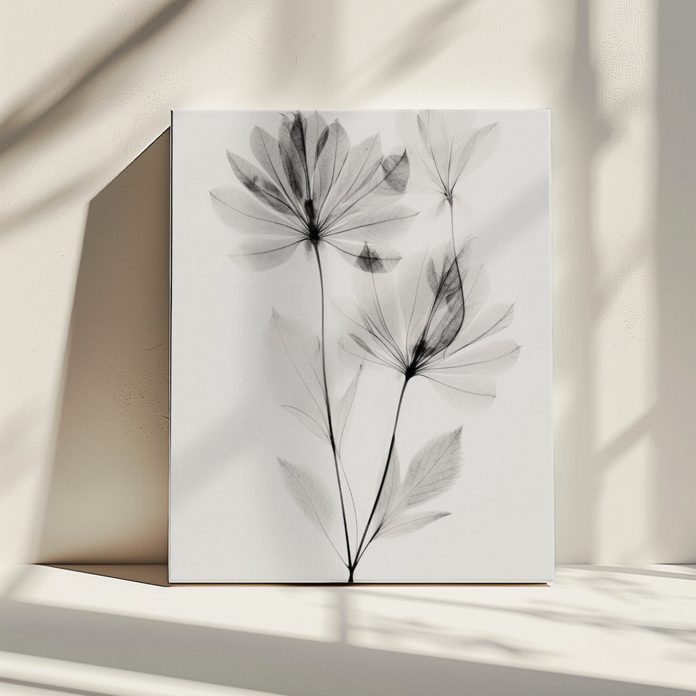 Ätherische Blüten | Leinwand