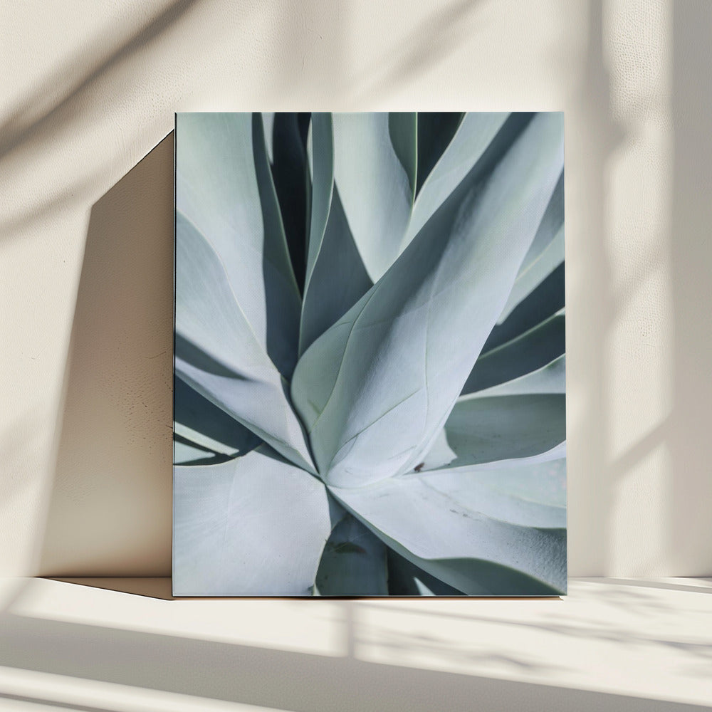 Succulent Symphony | Canvas