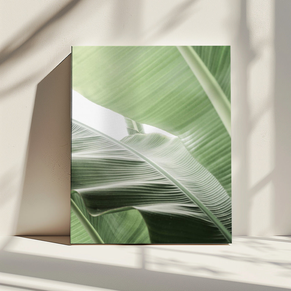 Leafy Serenity | Canvas