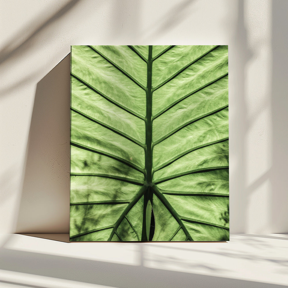 Leaf Vein Symphony | Canvas