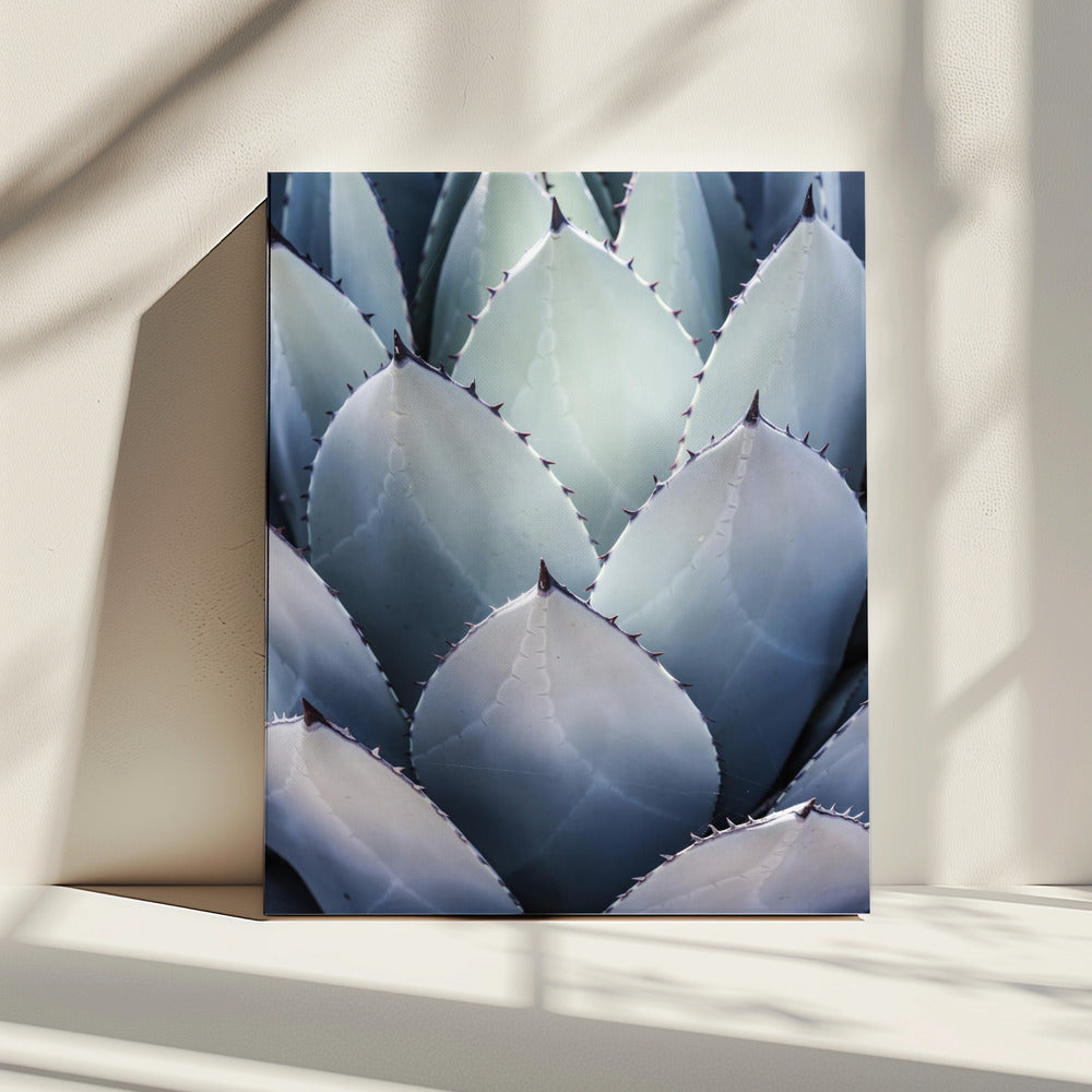Agave Geometry | Canvas