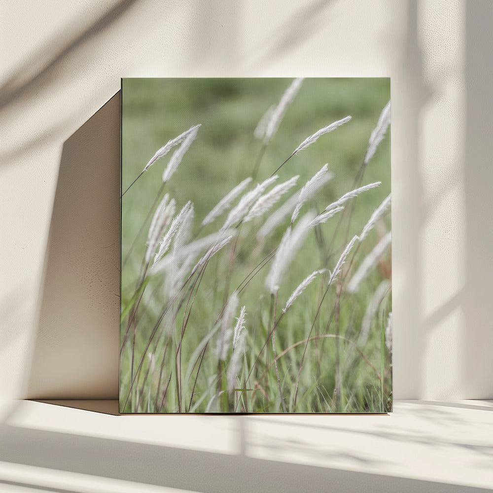 Whispering Meadows | Canvas