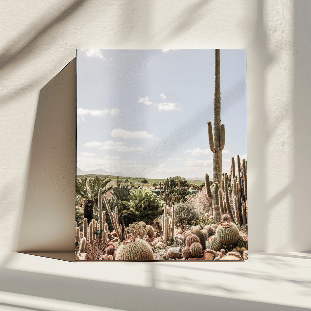 Desert Symphony | Canvas