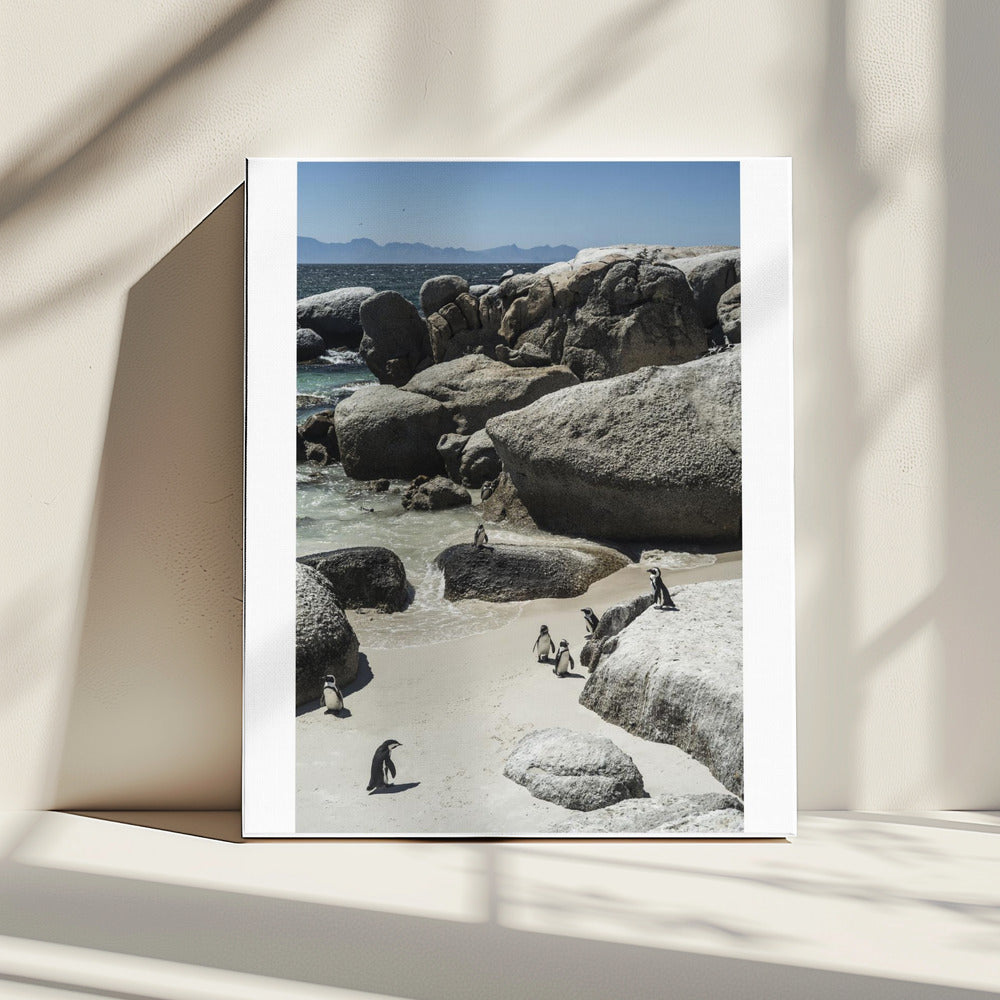 Penguins' Coastal Stroll | Canvas