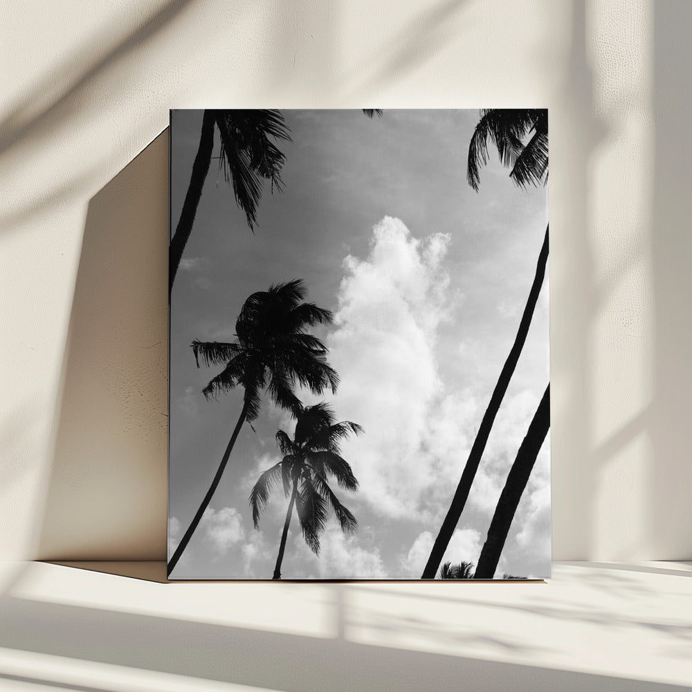 Palmensilhouette | Leinwand