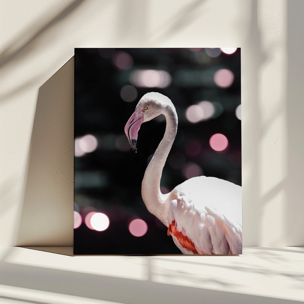 Flamingo Eleganz | Leinwand