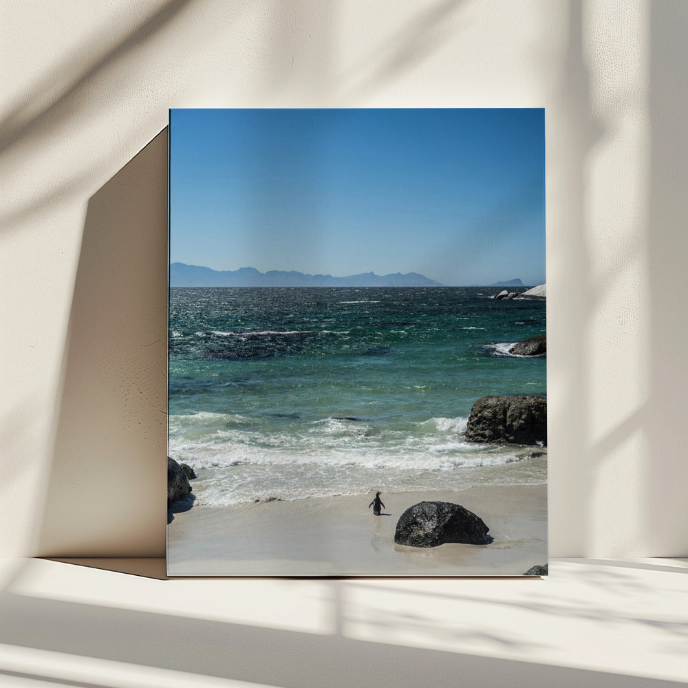 Penguin's Beach Walk | Canvas