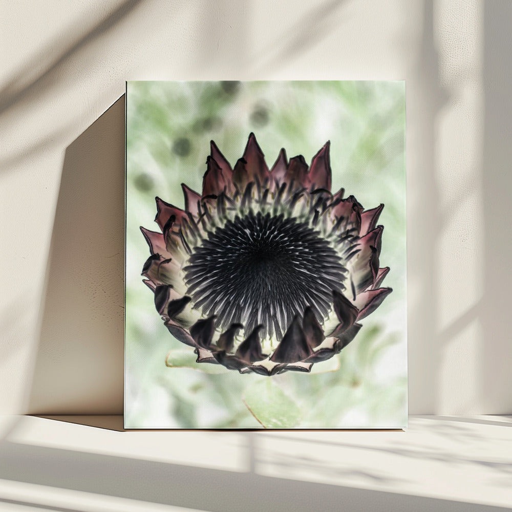 Mystische Blüte | Leinwand