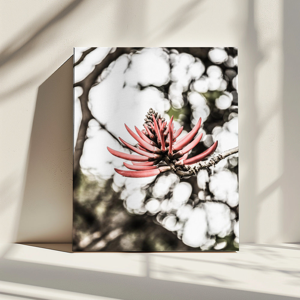 Purpurblüte | Leinwand
