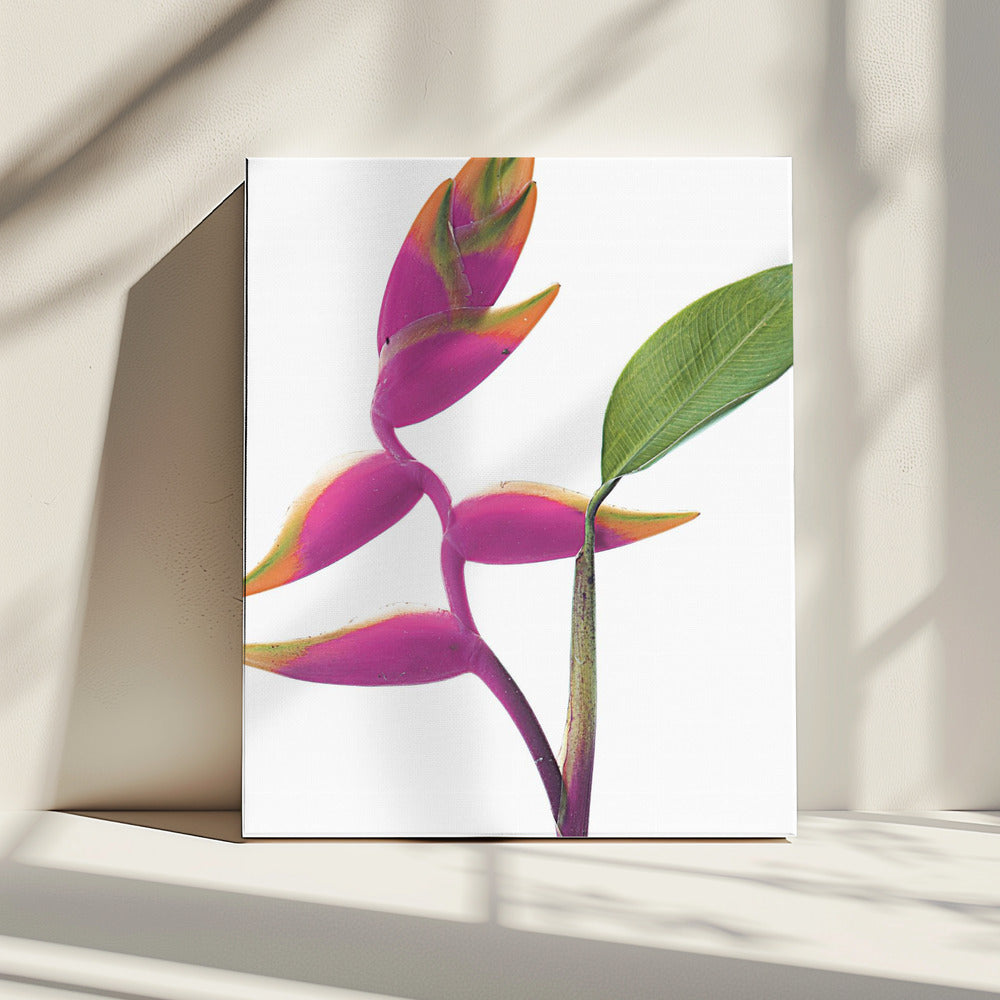 Tropische Eleganz | Leinwand