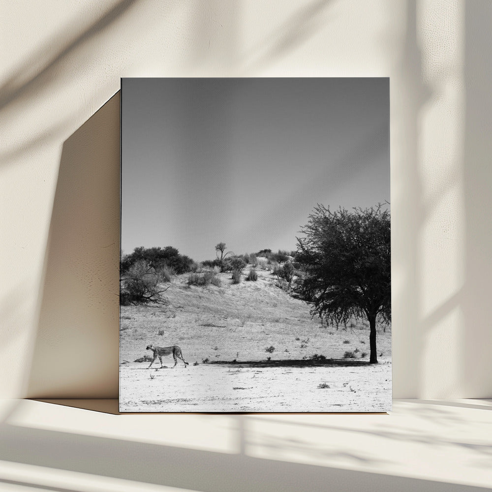 Gepardeneinsamkeit | Leinwand