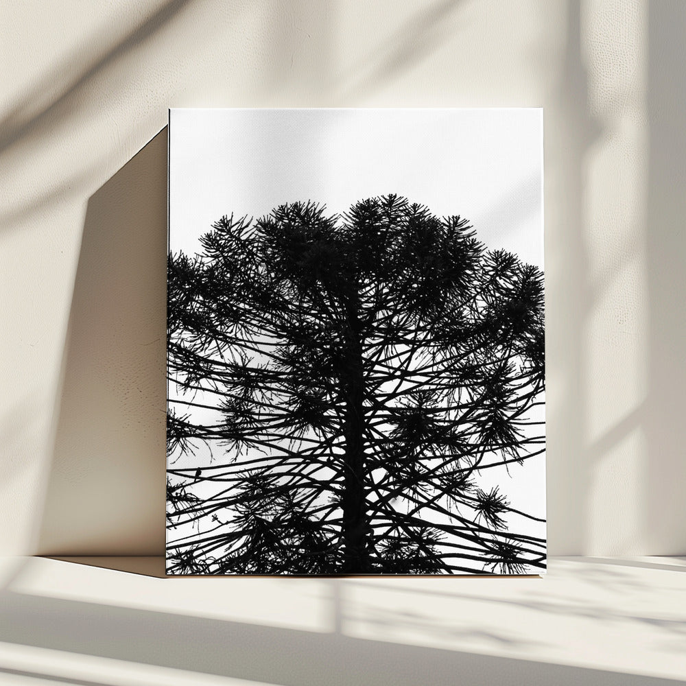 Silhouettensymmetrie | Leinwand