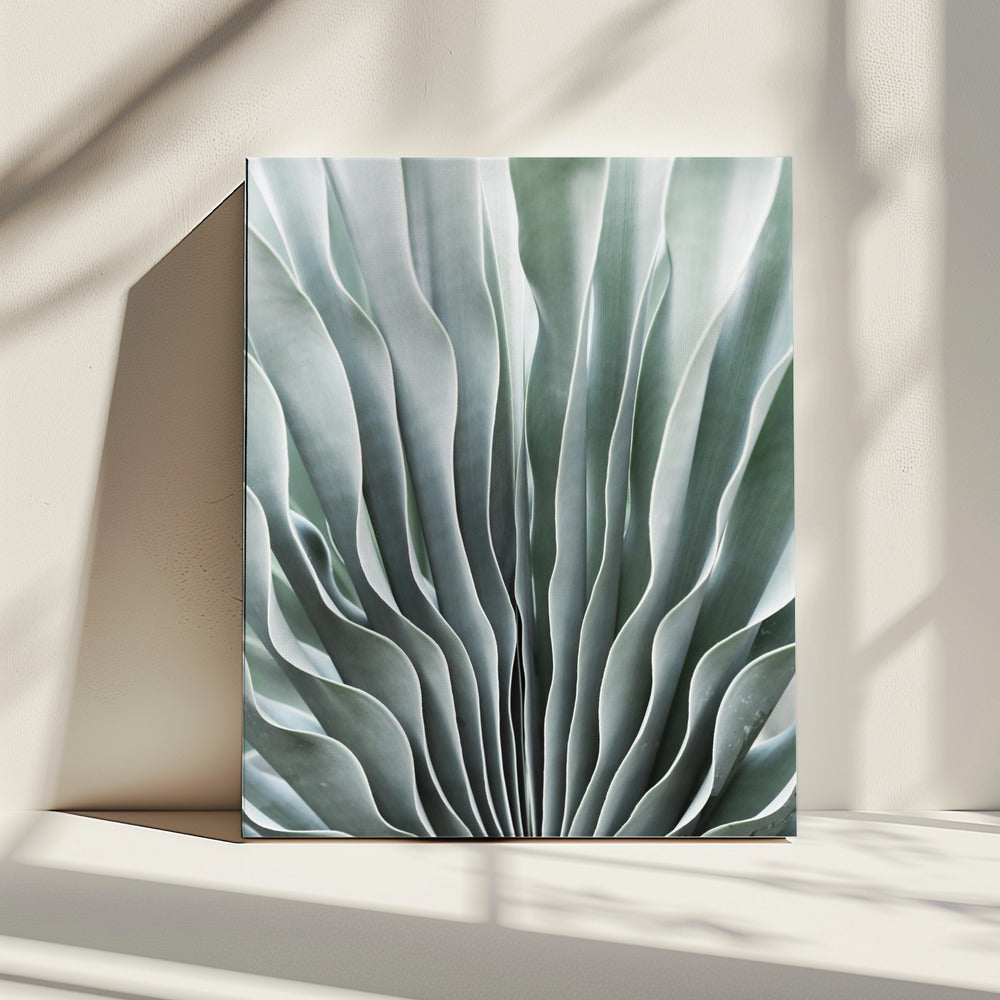 Nature's Grace | Canvas