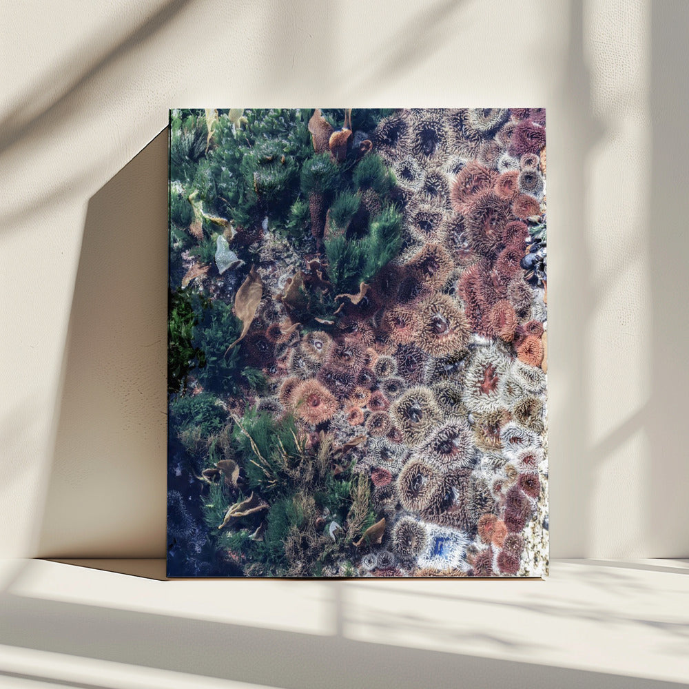 Ozean-Wandteppich | Leinwand