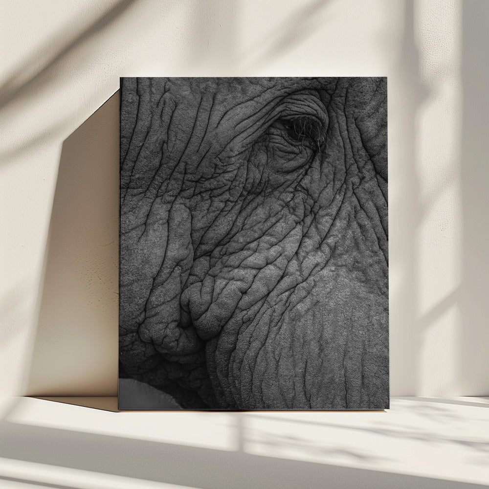 Elefantenweisheit | Leinwand