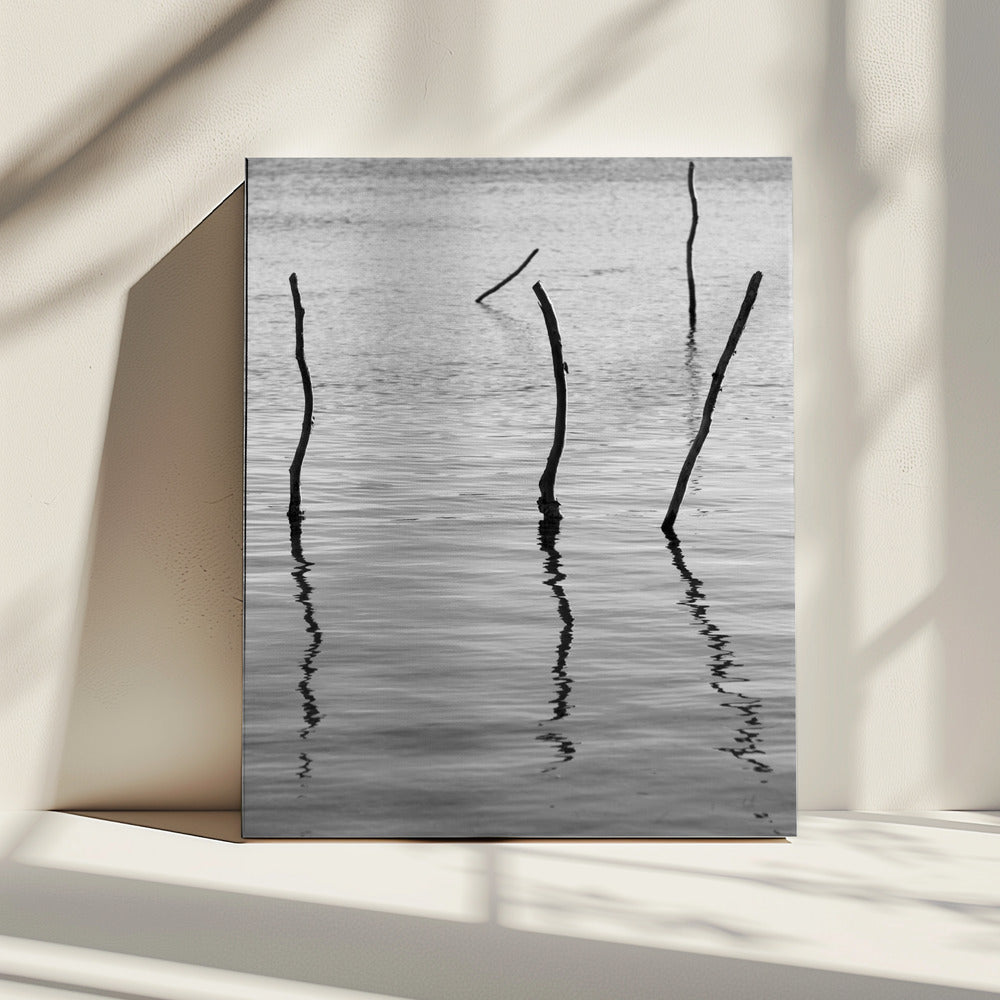 Stille Reflexionen | Leinwand