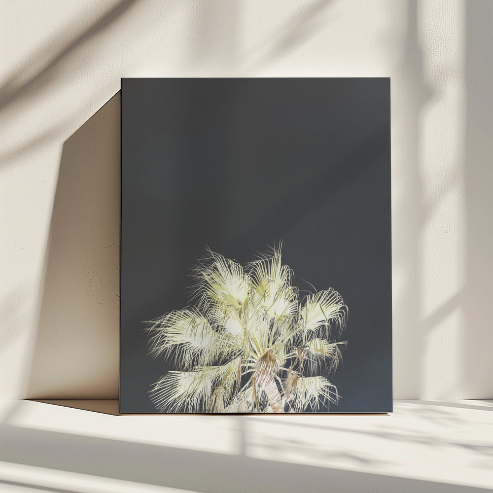 Leuchtende Palmen | Leinwand