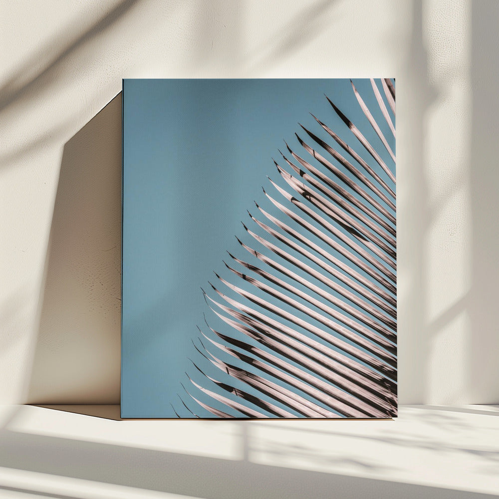 Palmblätter Gelassenheit | Leinwand