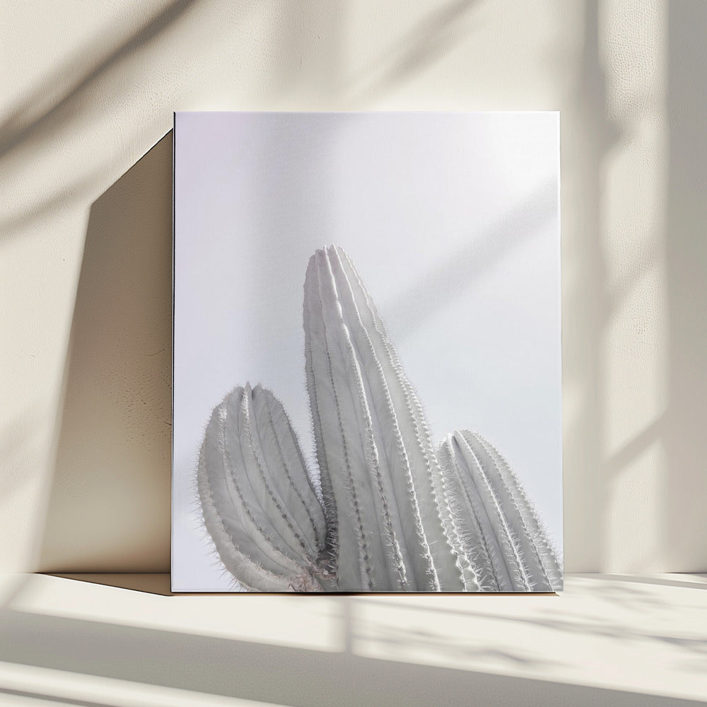 Minimalistischer Kaktus | Leinwand