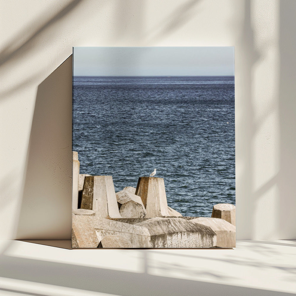 Möwe am Meer | Leinwand