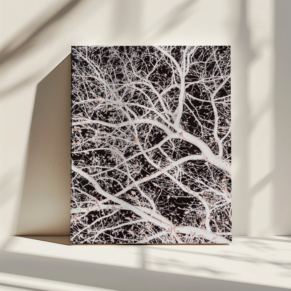 Tree Branches | Canvas