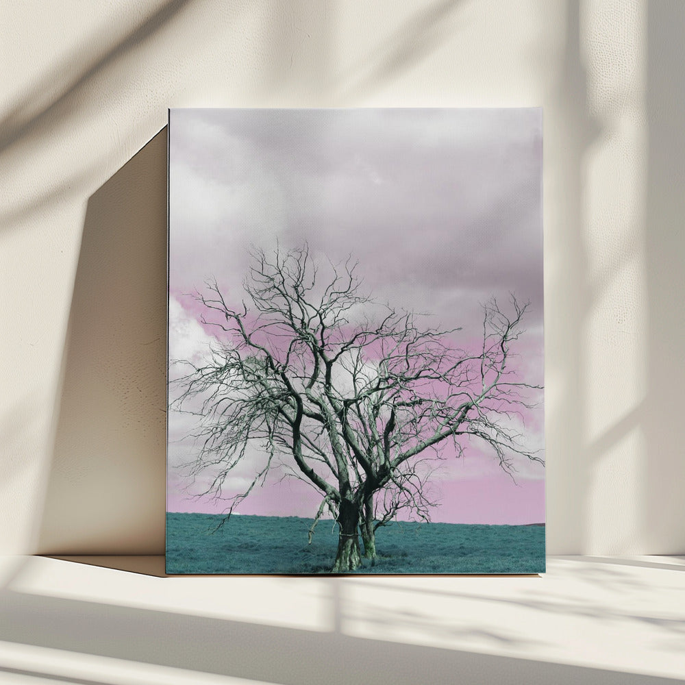Unfruchtbarer Baum vor einem verträumten rosa Himmel | Leinwand