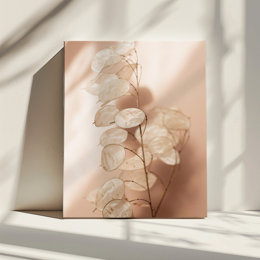 Last Summer 12 | Canvas
