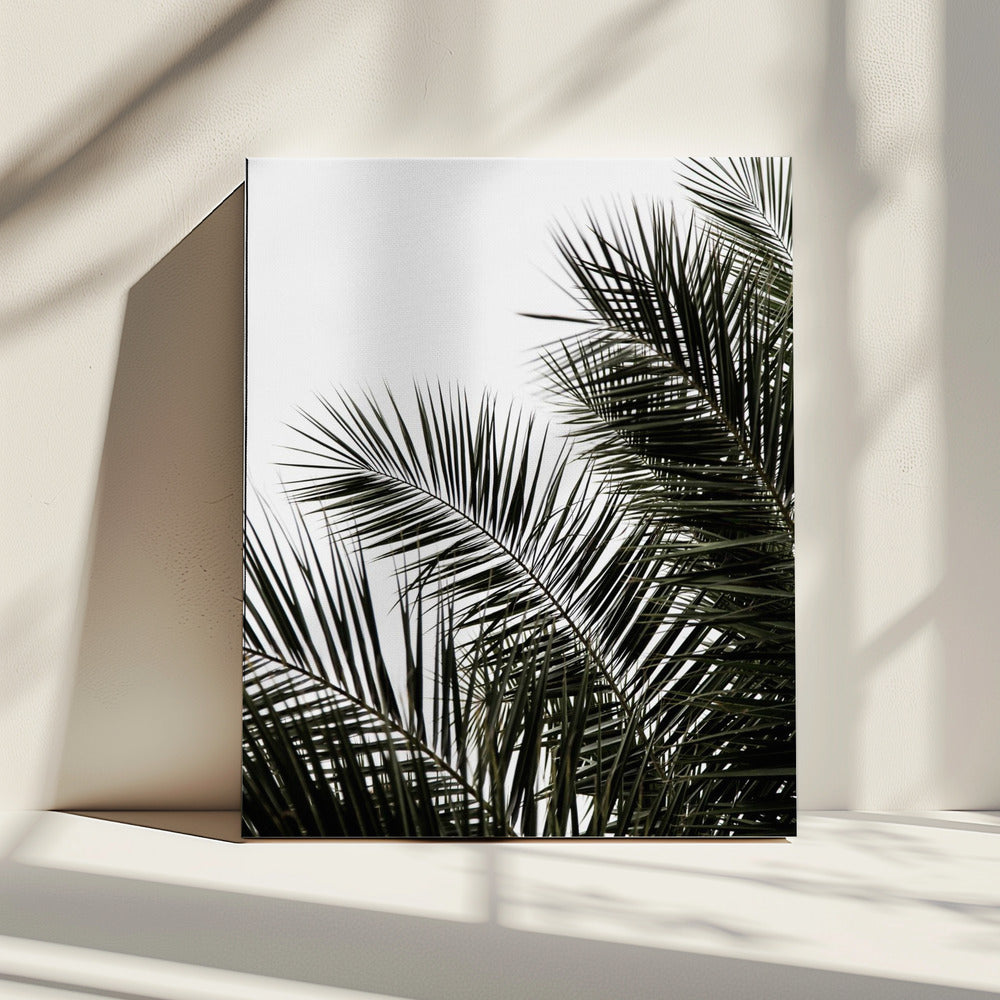 Palm Leaves 3 | Canvas