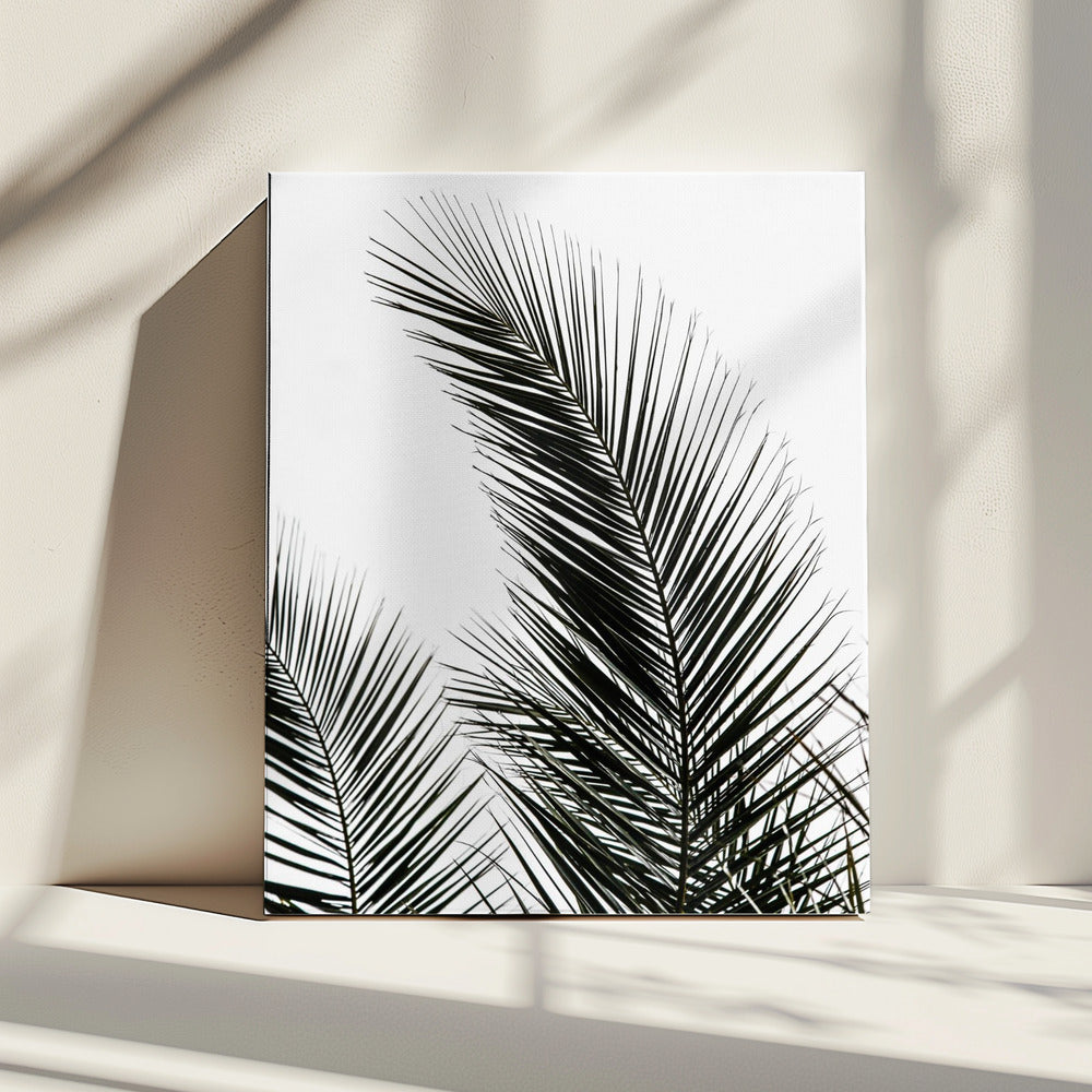 Palm Leaves 1 | Canvas