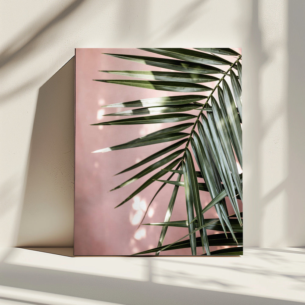 Palm Leaves 23 | Canvas