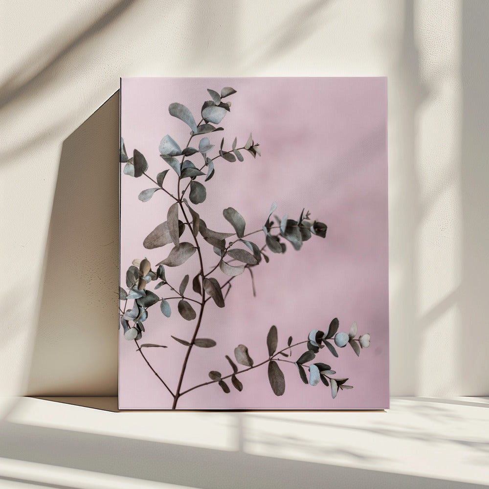 Eucalyptus 12 | Canvas