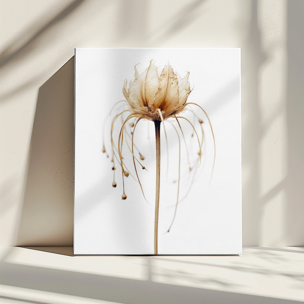 Ätherische Blüte | Leinwand
