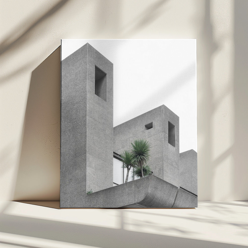 Lonely Palms No2 | Canvas