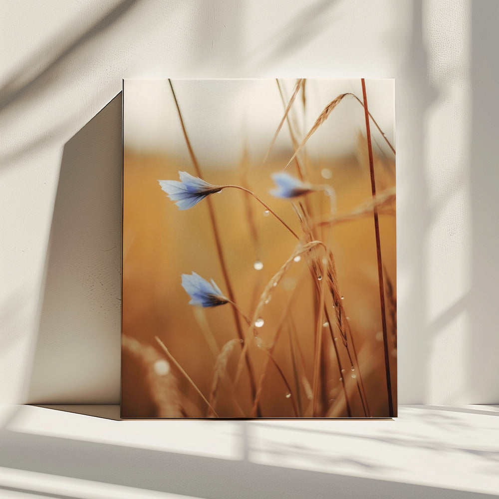 Blaue Blüten im Morgengrauen | Leinwand