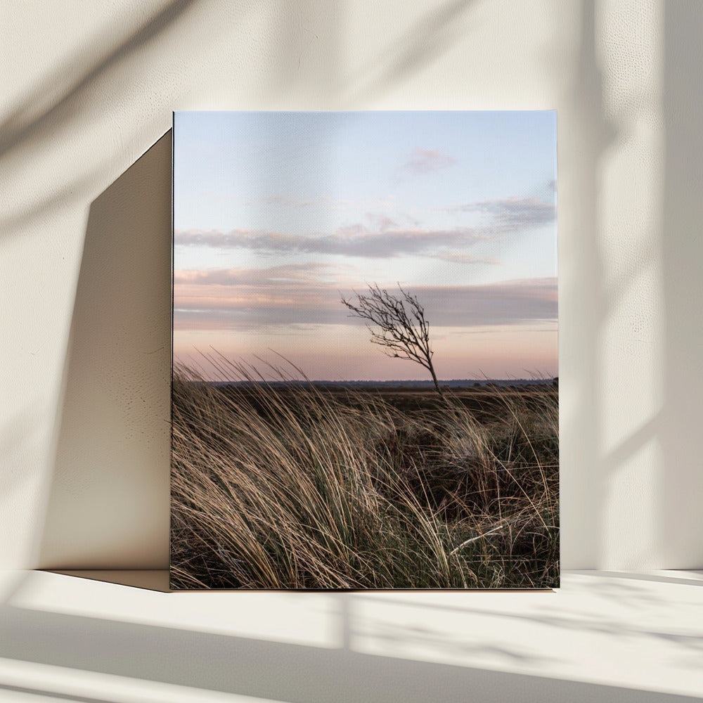 At the Coast 4 | Canvas