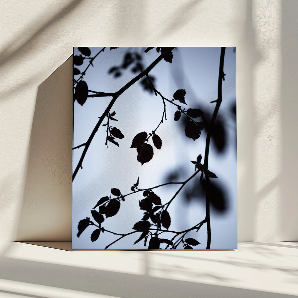Break of Dawn | Canvas