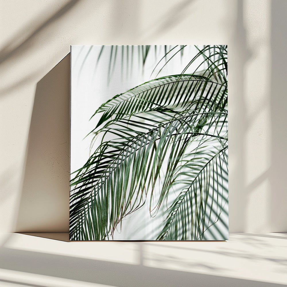 Palm Leaves 21 | Canvas