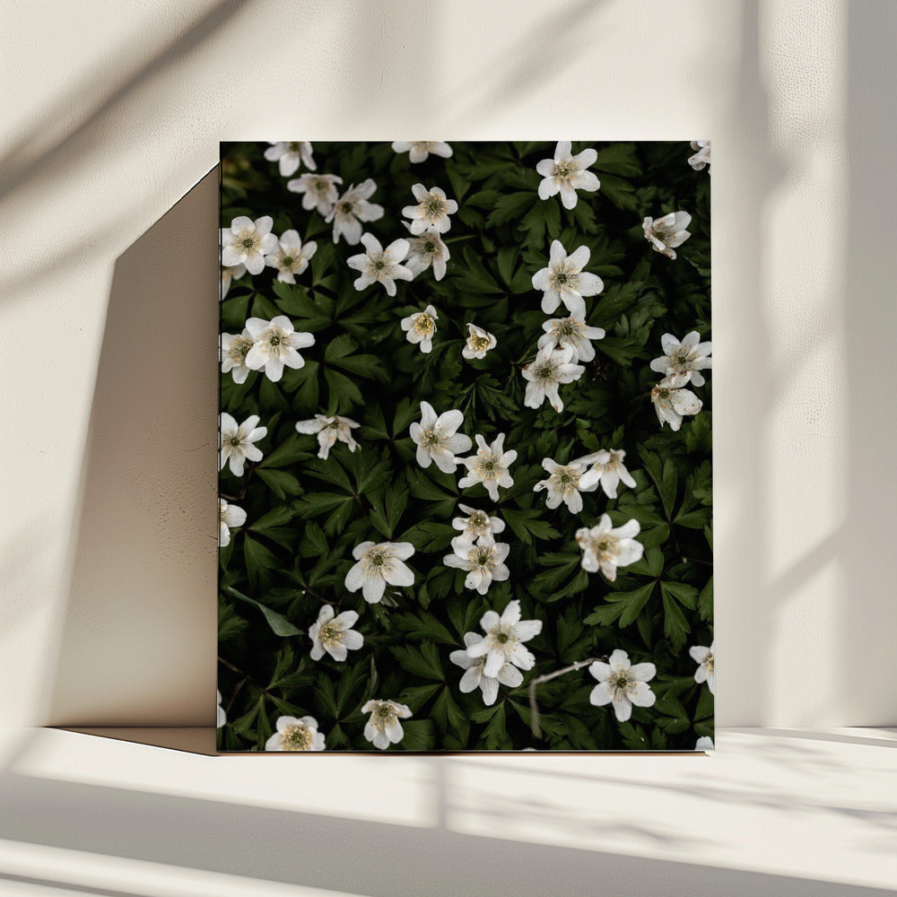 Tiny Flowers 2 | Canvas