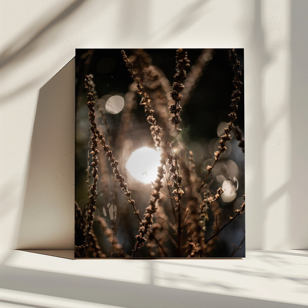 Natural Sparkle 2 | Canvas